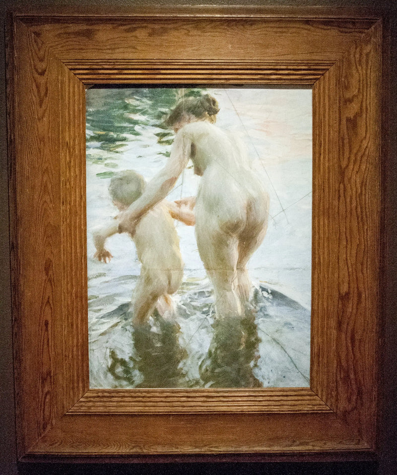 Birinci - Anders Zorn