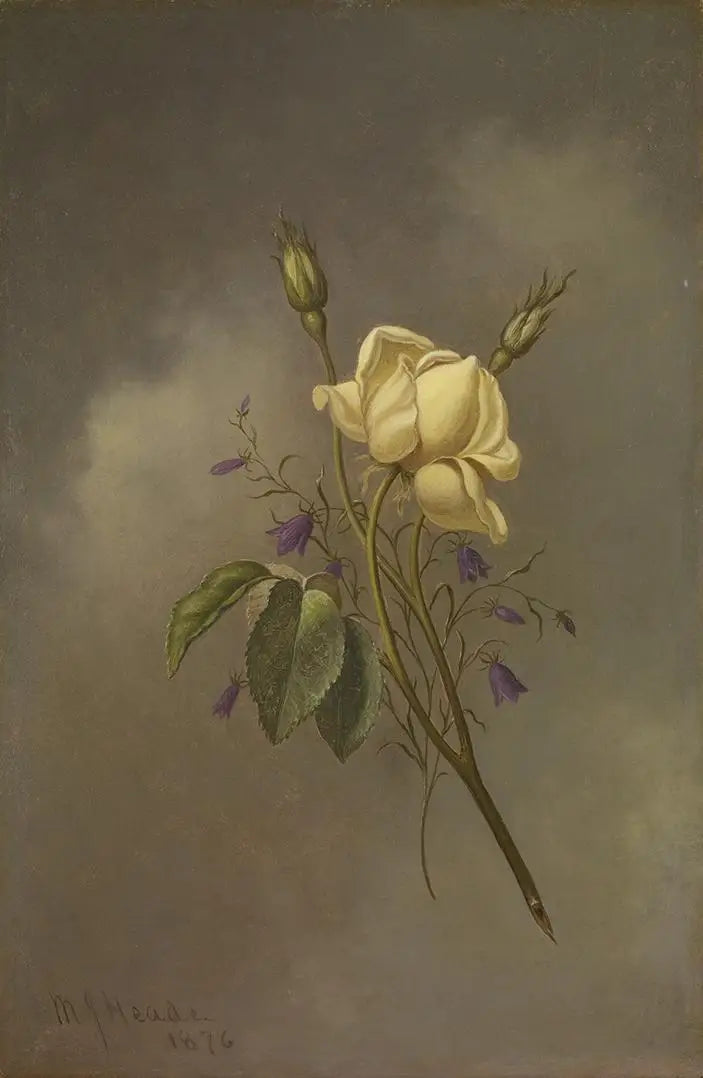 Sarı bir gül, bulutlu bir gökyüzüne karşı - Martin Johnson Heade