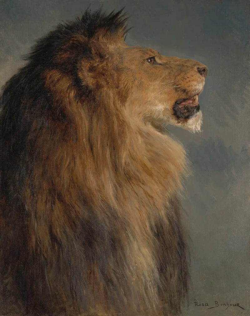 Bir Aslan Başı - Rosa Bonheur