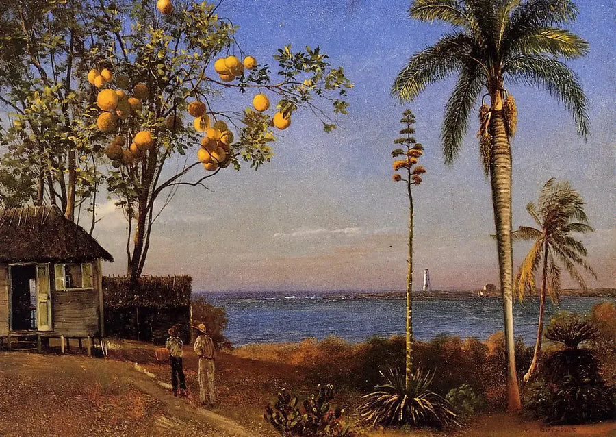 Bahamalar'da bir manzara, yağlıboya kağıda yapıştırılmış kağıt üzerine, 48,58 x 35,24 cm - Albert Bierstadt