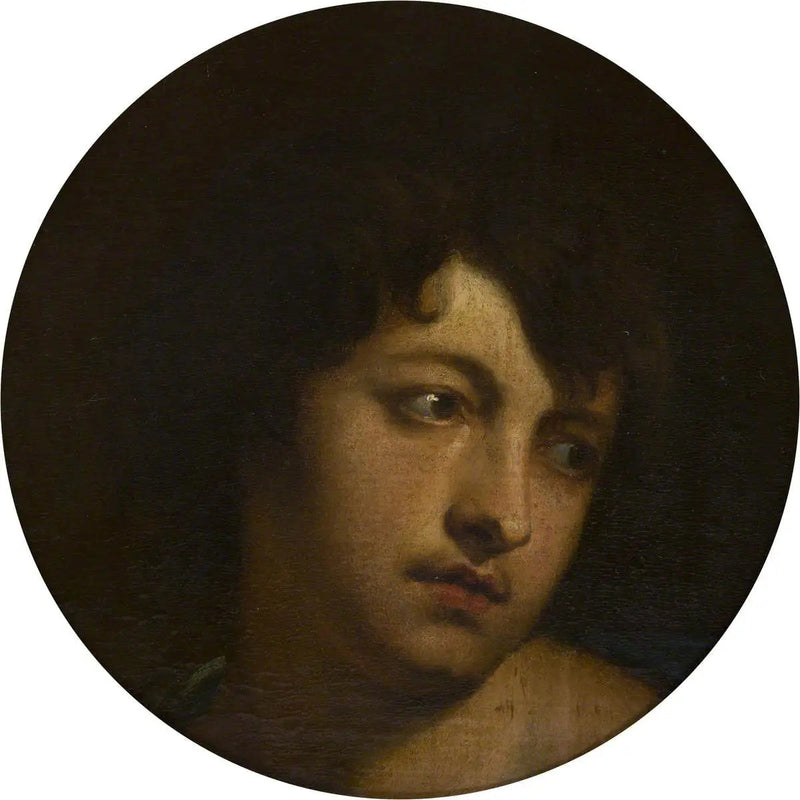 Van Dyck Paris Rolünde - Antoine van Dyck