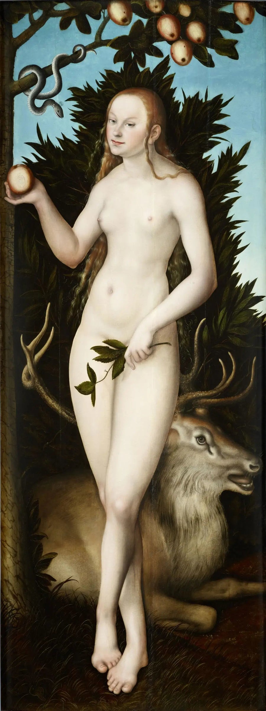 Veille - Lucas Cranach the Elder