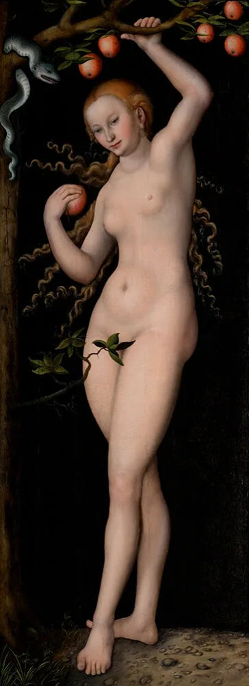 Veille - Lucas Cranach the Elder