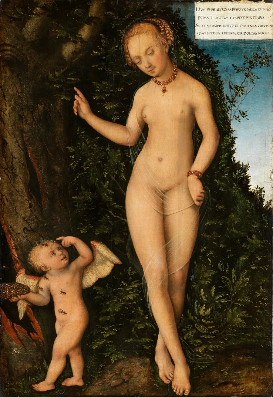 Venüs ve Bal Hırsızı Aşkın Cupido - Lucas Cranach the Elder