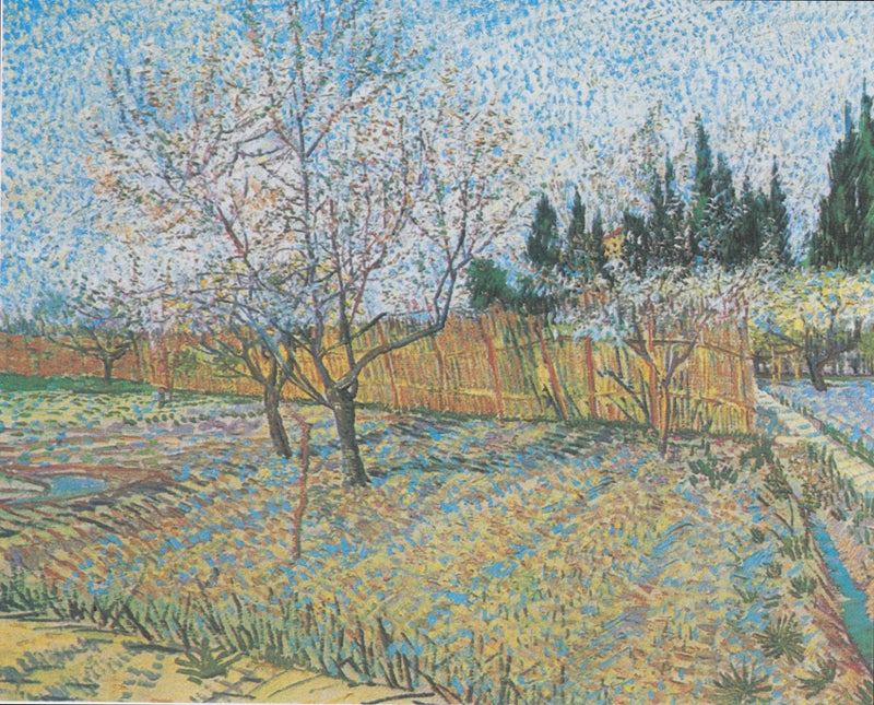 Servi ağaçlarıyla meyve bahçesi - Vincent van Gogh