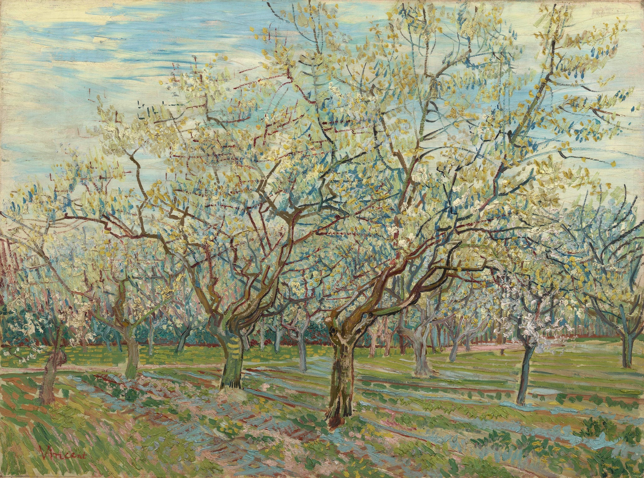 Le Verger blanc, F403 — pruniers en fleurs dans un verger d’Arles peint par Vincent van Gogh