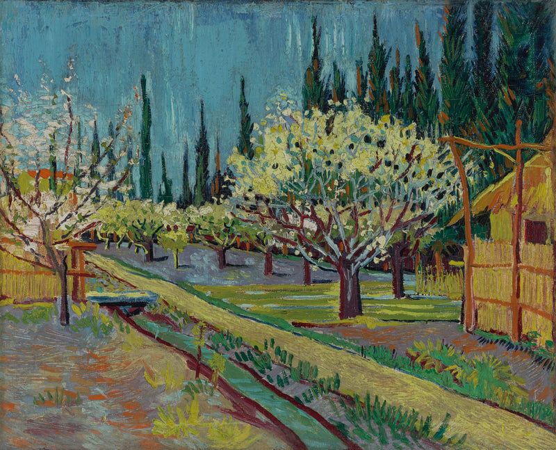 Çiçekli meyve bahçesi, servi ağaçlarıyla çevrili - Vincent van Gogh