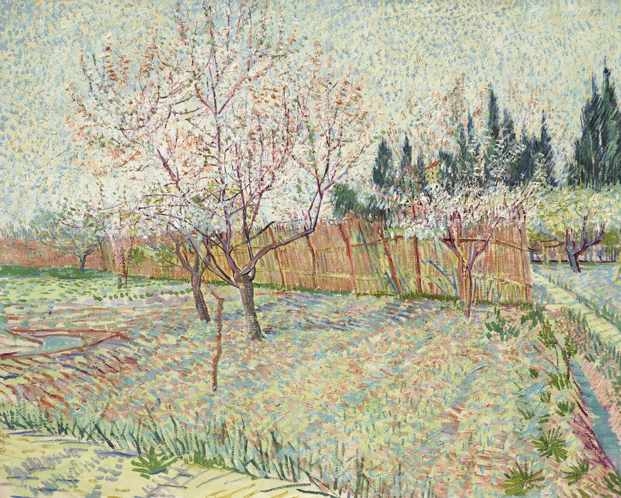 Servi ağaçlarıyla meyve bahçesi - Vincent van Gogh