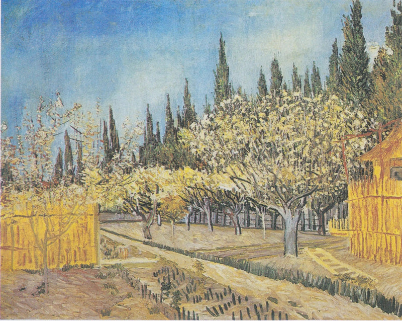 Çiçek açan meyve bahçesi, servi ağaçlarıyla çevrili - Vincent van Gogh