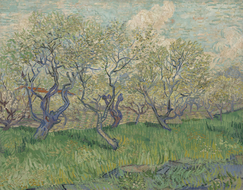 Çiçek Açan Meyve Bahçesi - Vincent van Gogh