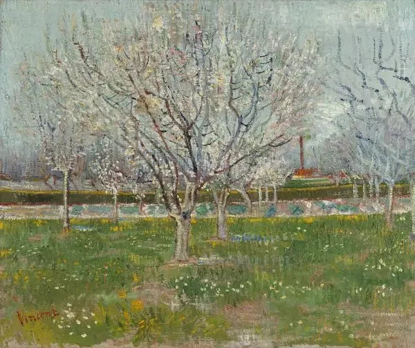 Çiçek Açan Meyve Bahçesi - Vincent van Gogh