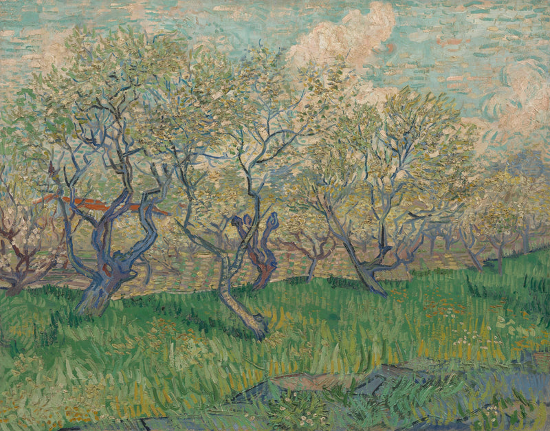 Çiçek Açan Meyve Bahçesi - Vincent van Gogh