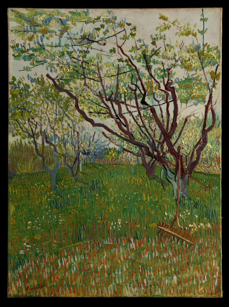 Çiçek Açan Meyve Bahçesi - Vincent van Gogh