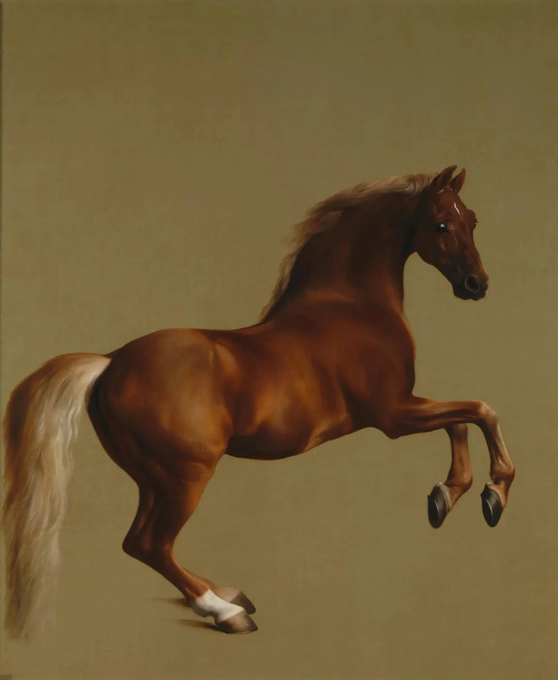 Sifon Ceket - George Stubbs