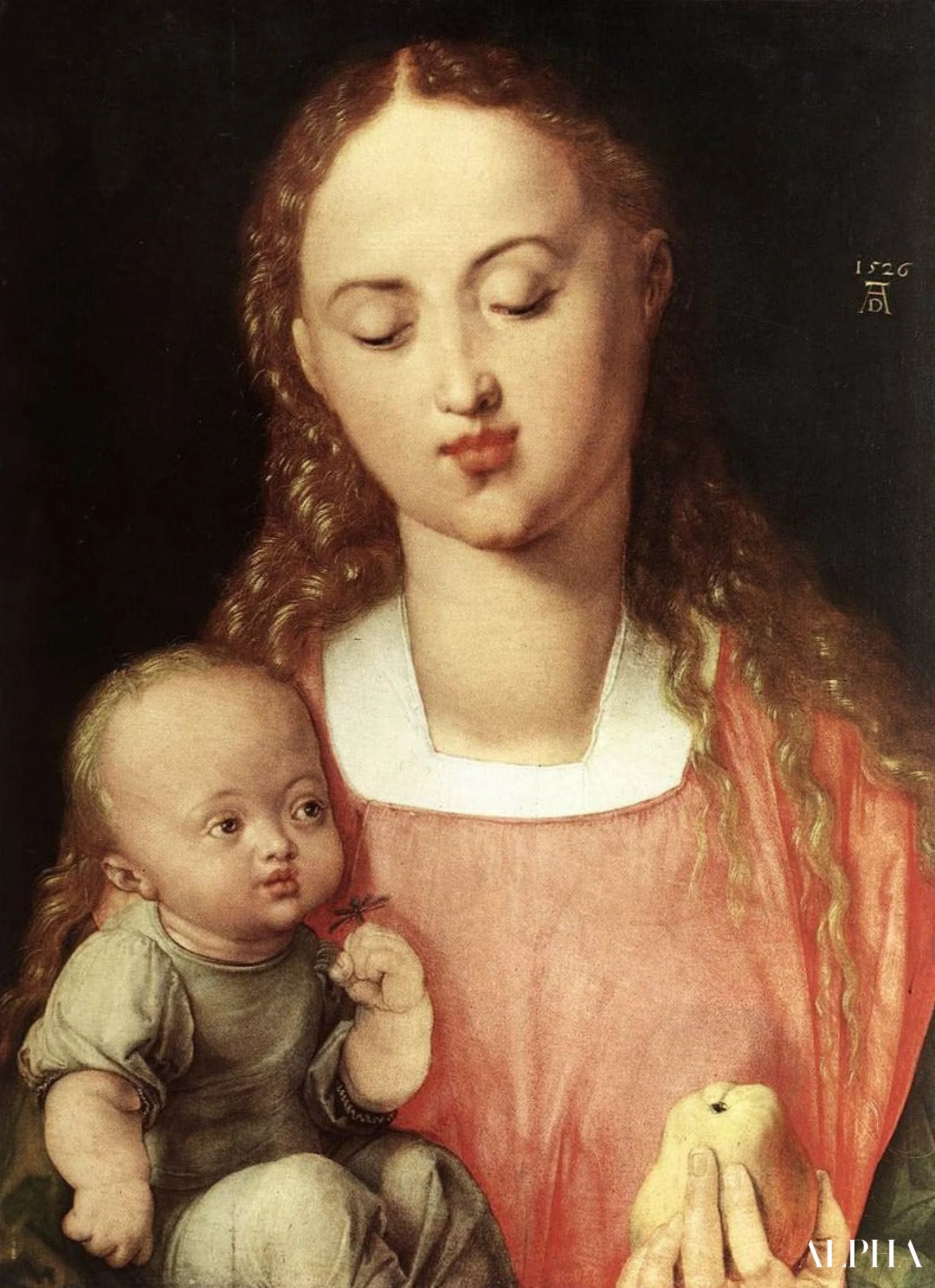 Vierge à la poire - Albrecht Dürer - Reproductions de tableaux et peintures haut de gamme
