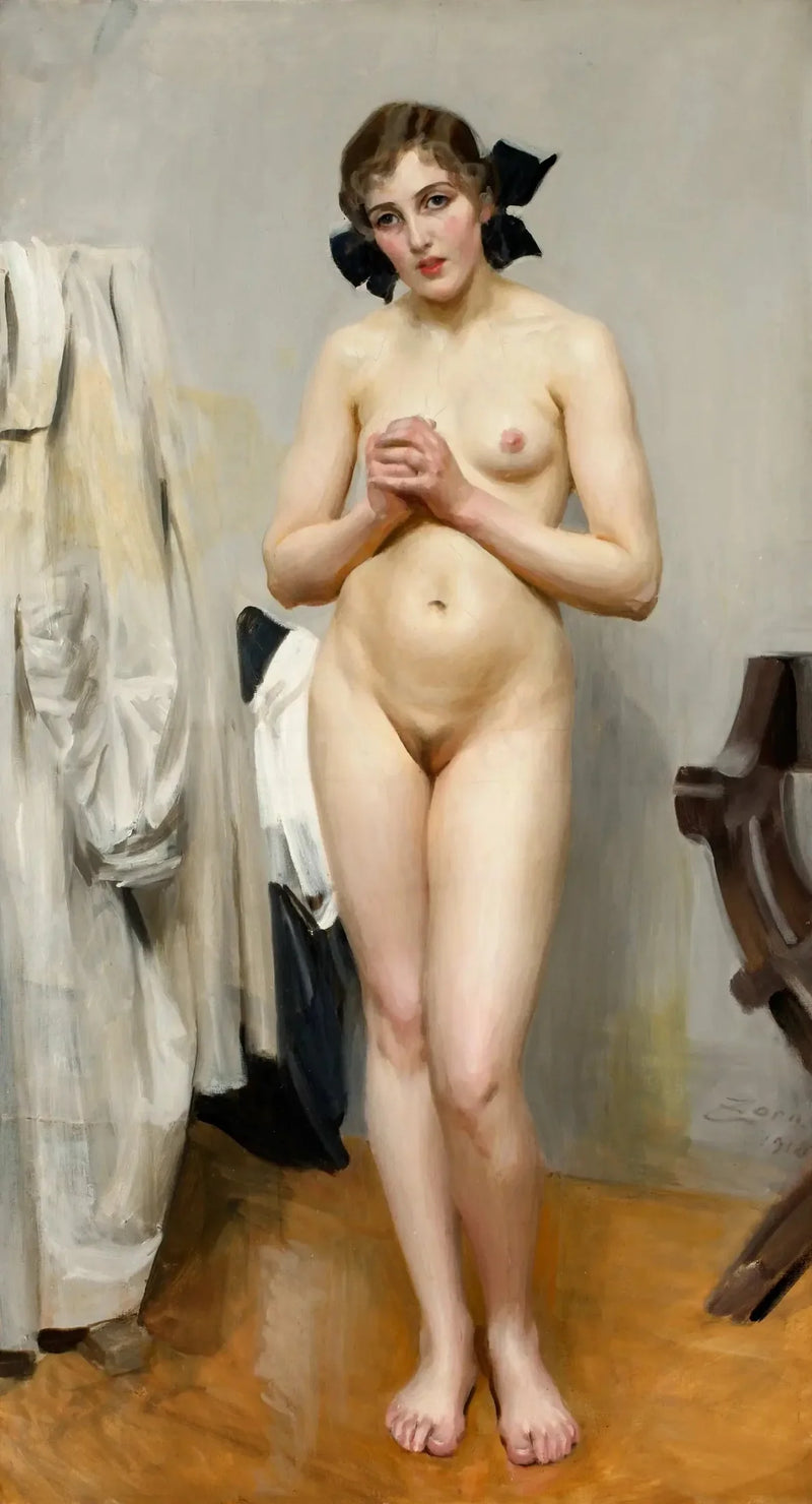 Q19961817 - Anders Zorn