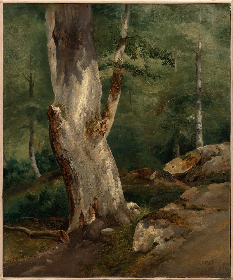 Eski huş - Jean-Baptiste Camille Corot
