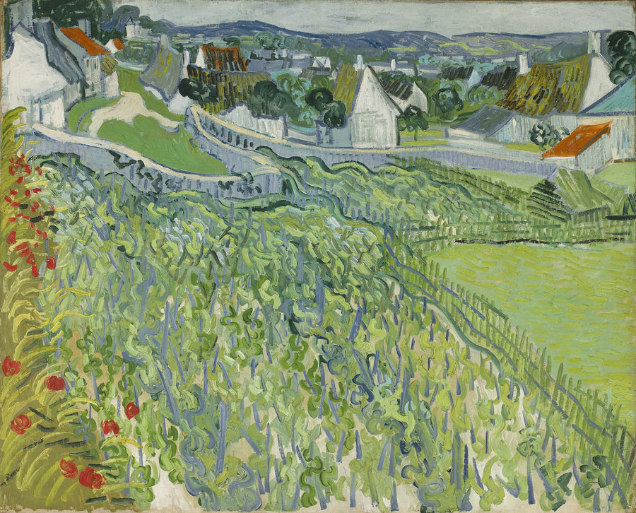 Auvers Bağları - Vincent van Gogh