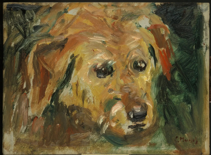 Köpek Yüzü - Edvard Munch