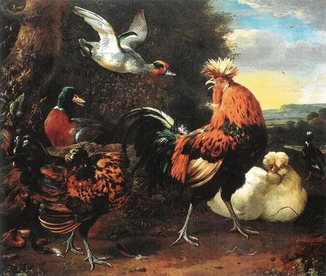 Volaille - Melchior de Hondecoeter