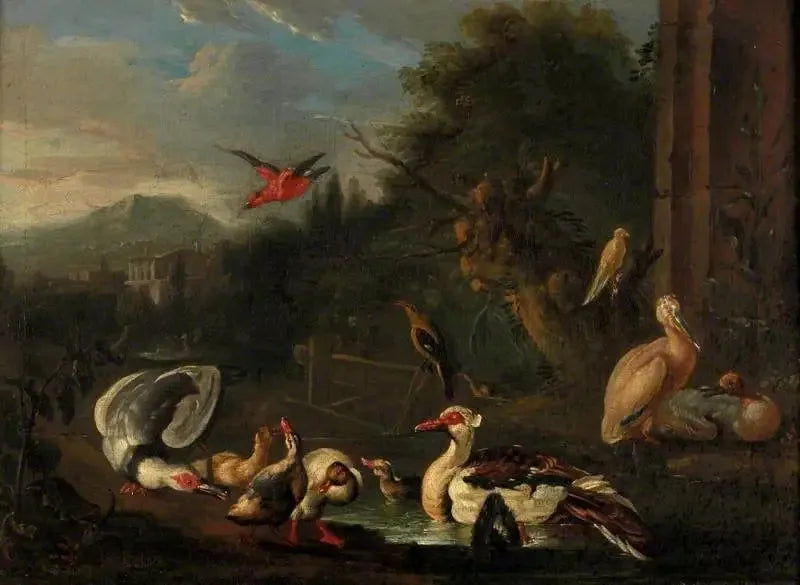 Volaille - Melchior de Hondecoeter