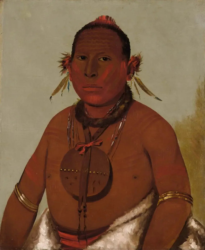 Wa-sáw-me-saw, Kükreyen gök gürültüsü, Kara Şahin'in en genç oğlu - George Catlin