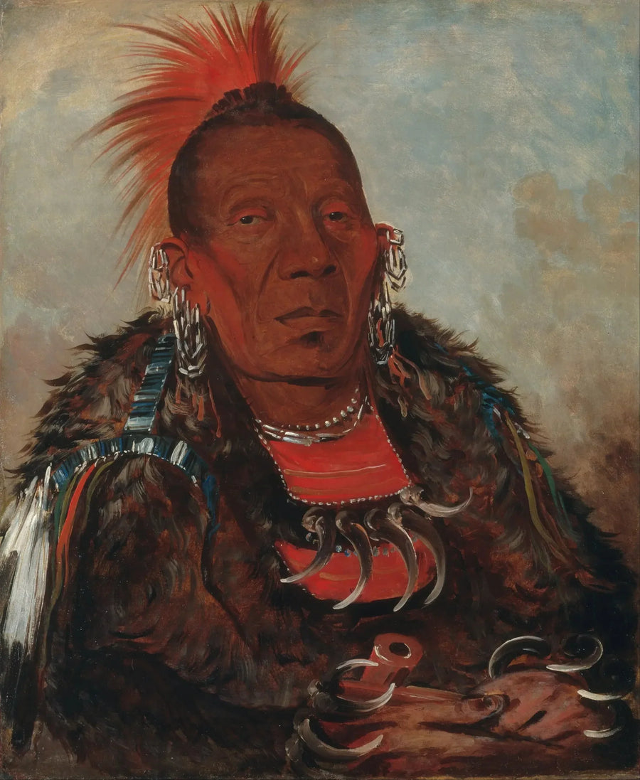 Wah-ro-née-sah, encirleyen, kabile lideri - George Catlin
