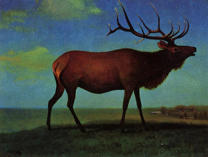 Wapiti erkek - Albert Bierstadt