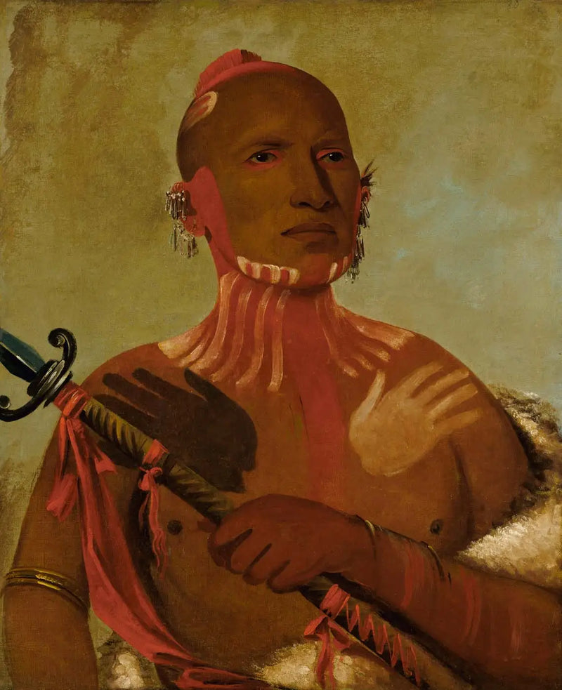 Wée-kâğıdı, morina başı, bir tilki savaşçı - George Catlin