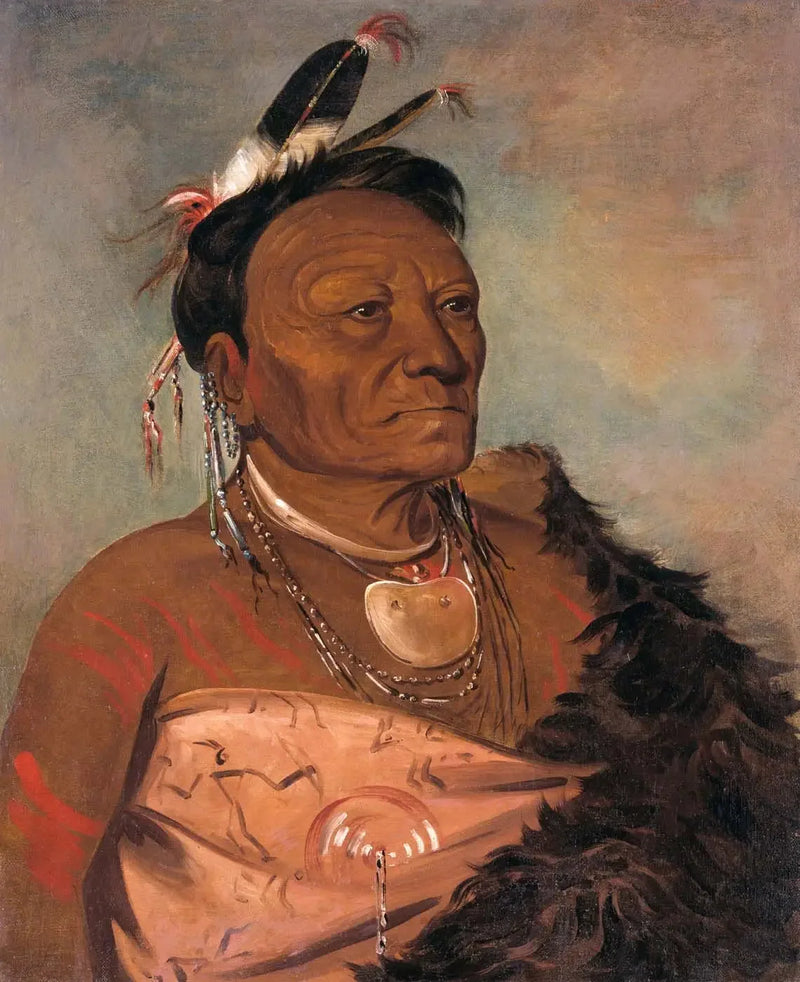 Wee-tá-ra-shá-ro, kabile lideri - George Catlin