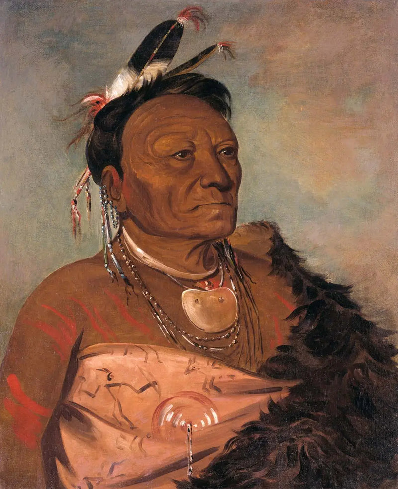 Wee-tá-ra-shá-ro, kabile lideri - George Catlin