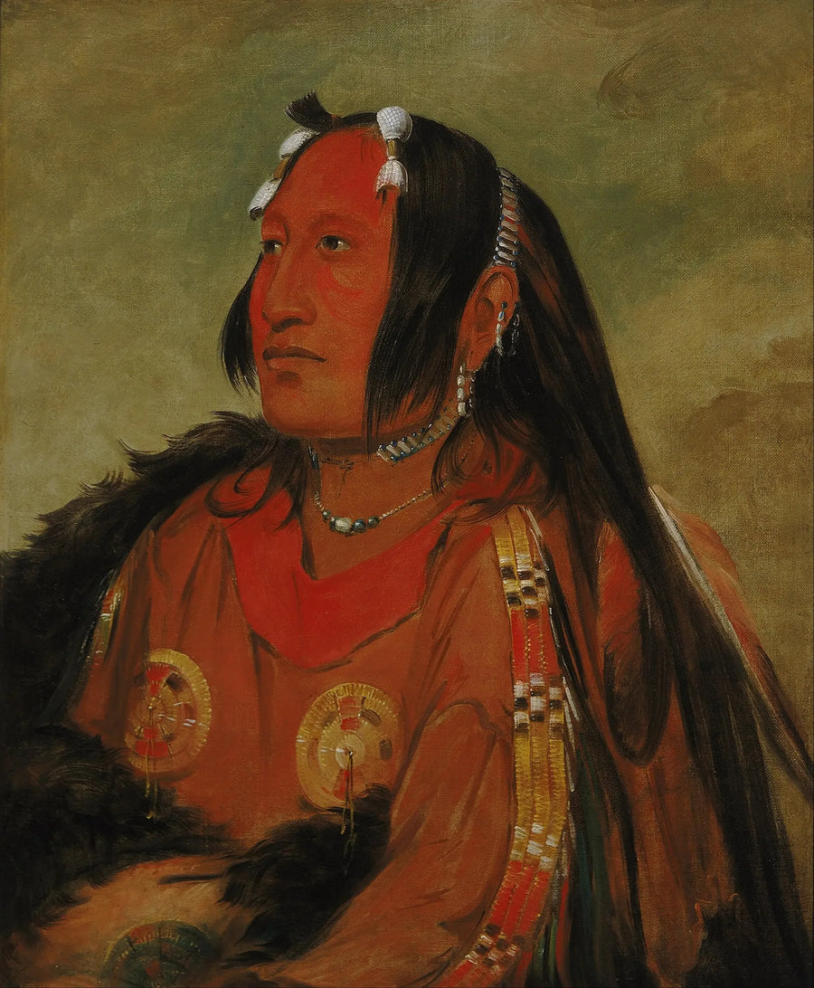 Wi-jún-jon, Güvercin Başlı Yumurta (La Lumière), genç bir savaşçı - George Catlin