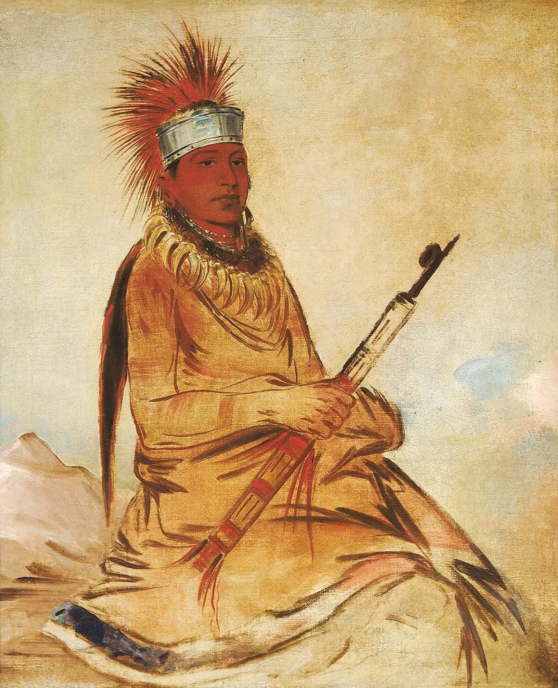 W'y-ee-yogh, sağduyulu adam, cesur - George Catlin