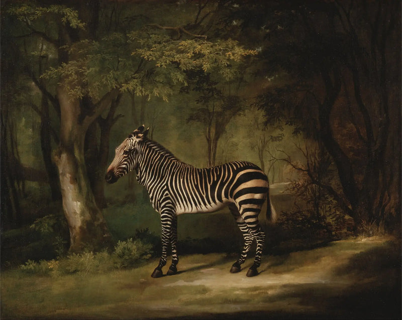 Zebra - George Stubbs